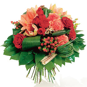 pour tous les visiteur